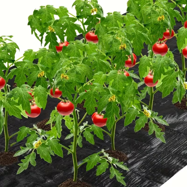 VEGMESH™ - ÜLTETŐFÓLIA (1x10m)