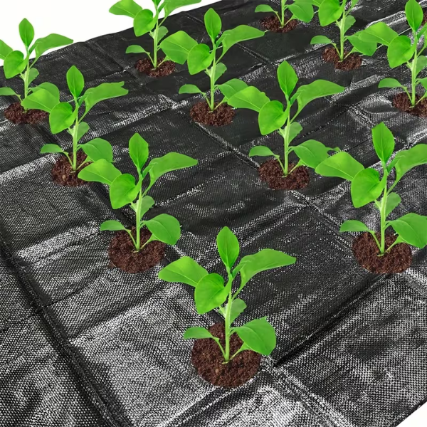 VEGMESH™ - ÜLTETŐFÓLIA (1x10m)