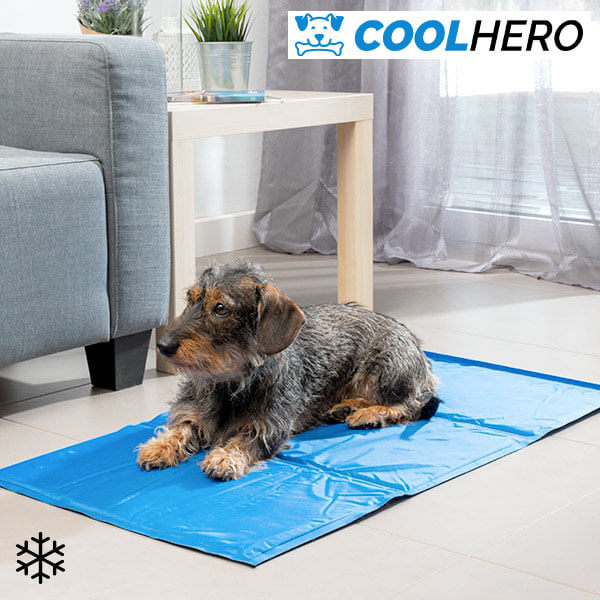 COOLHERO™ HŰTŐMATRAC A KUTYÁKNAK