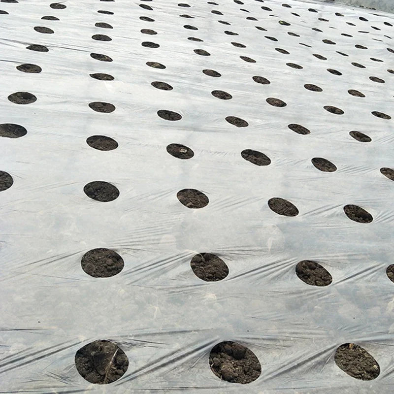 VEGMESH™ - ÜLTETŐFÓLIA (1x10m)
