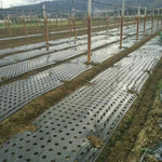 VEGMESH™ - ÜLTETŐFÓLIA (1x10m)