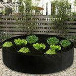 GROWGARDEN® - MAGASÁGYÁS 1+1 GRÁTISZ